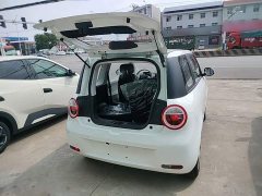 Changan Lumin Treasure Edition 205km Cool Love White CATL - ფოტო 19
