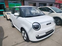 Changan Lumin Treasure Edition 205km Cool Love White CATL - ფოტო 4