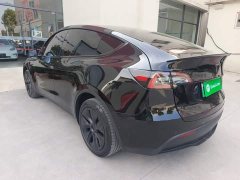 Tesla Model Y 2023 Long Range All-Wheel Drive - ფოტო 5