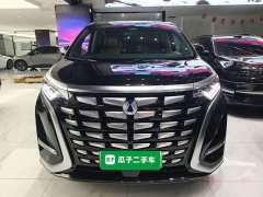 Denza BYD Denza D9 2022 DM-i 1040 Premium - ფოტო 3