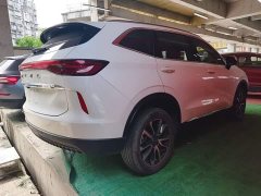 Haval H6 2022 Third Generation 1.5T Automatic Two-Wheel Drive Pro - ფოტო 7