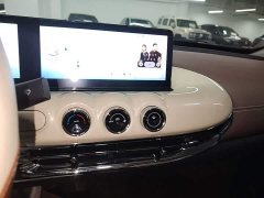 Wuling Binguo 2023 410km Lingxi Premium Edition - ფოტო 13