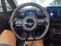 BYD Dolphin Glory Edition 420km Fashion Version - ფოტო 11