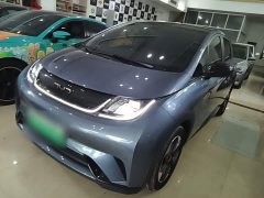 BYD Dolphin Glory Edition 420km Fashion Version - ფოტო 2