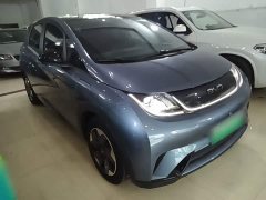 BYD Dolphin Glory Edition 420km Fashion Version - ფოტო 4
