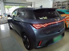 BYD Dolphin Glory Edition 420km Fashion Version - ფოტო 5