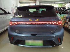 BYD Dolphin Glory Edition 420km Fashion Version - ფოტო 6