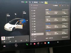 Tesla Model 3 Standard Range RWD Upgrade 3D6 - ფოტო 8
