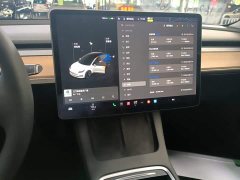 Tesla Model 3 Standard Range RWD Upgrade 3D6 - ფოტო 9