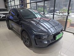 Tesla Model Y Long Range All-Wheel Drive Launch Edition - ფოტო 4