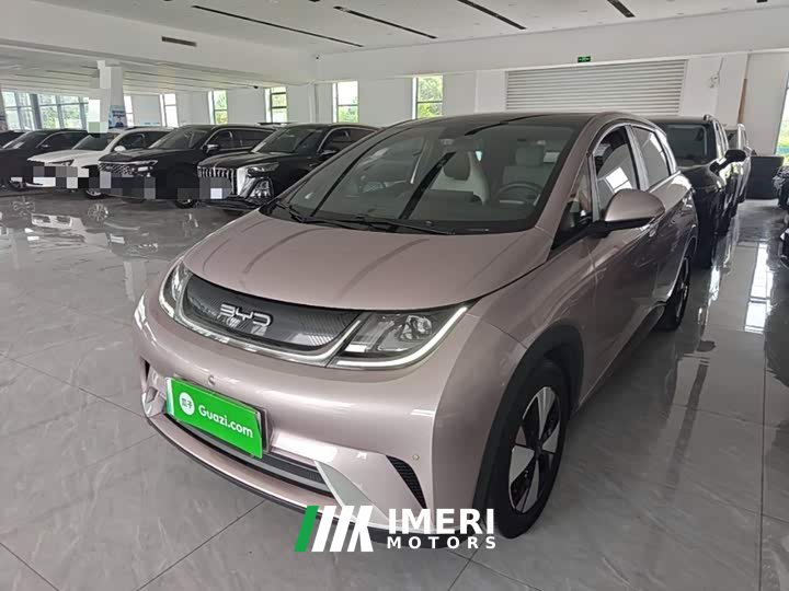 BYD Dolphin 420km Fashion Edition - ავტომობილი ჩინეთიდან