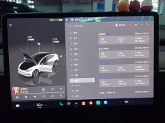Tesla Model 3 2022 Rear-Wheel Drive - ფოტო 12