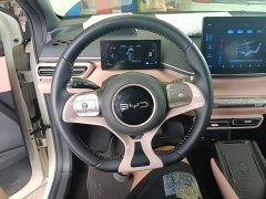 BYD Seagull 305km Freedom Edition - ფოტო 11