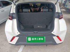 BYD Seagull 305km Freedom Edition - ფოტო 19