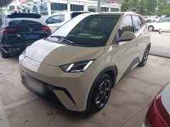 BYD Seagull 305km Freedom Edition - ფოტო 2