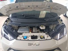 BYD Seagull 305km Freedom Edition - ფოტო 20