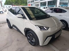 BYD Seagull 305km Freedom Edition - ფოტო 4