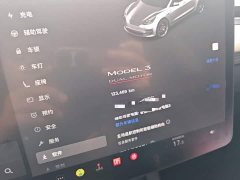 Tesla Model 3 Performance All-Wheel Drive - ფოტო 12