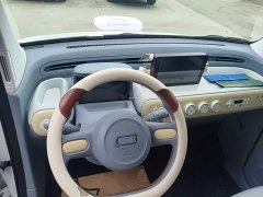 FAW Besturn Xiaoma 222km Dynamic Edition - ფოტო 10