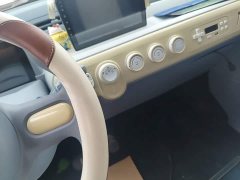 FAW Besturn Xiaoma 222km Dynamic Edition - ფოტო 14