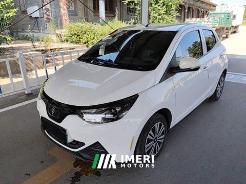 2024 JMC EV2 Auspicious Edition 201km Comfort - car from China