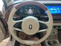 ORA Good Cat GT Mulan Edition 401km Luxury - ფოტო 11
