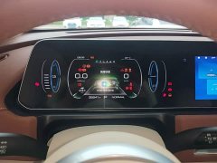 ORA Good Cat GT Mulan Edition 401km Luxury - ფოტო 12