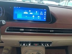 ORA Good Cat GT Mulan Edition 401km Luxury - ფოტო 13