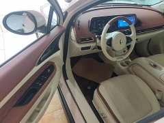 ORA Good Cat GT Mulan Edition 401km Luxury - ფოტო 16