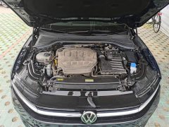 Volkswagen Magotan 380TSI DSG Premium Edition - ფოტო 20