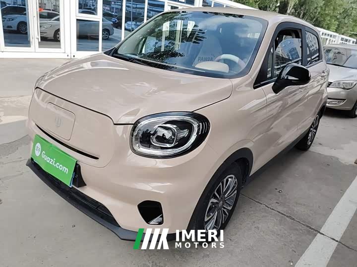 Leapmotor T03 2021 400 Micro Sugar Edition - ავტომობილი ჩინეთიდან