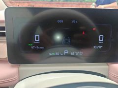 Geely Geometry E Firefly 401KM Linglong Tiger 5-Seater - ფოტო 12