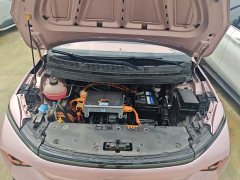 Geely Geometry E Firefly 401KM Linglong Tiger 5-Seater - ფოტო 20