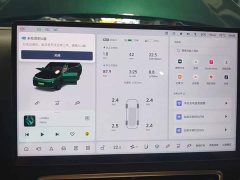Li Auto L9 2022 Max - ფოტო 12