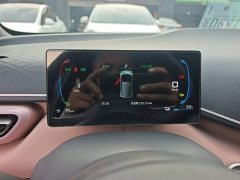 BYD Seagull Glory Edition 405km Flying Edition - ფოტო 12