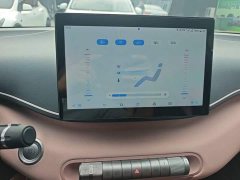 BYD Seagull Glory Edition 405km Flying Edition - ფოტო 13