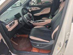 BYD Seagull Glory Edition 405km Flying Edition - ფოტო 15