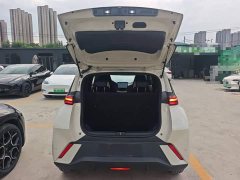 BYD Seagull Glory Edition 405km Flying Edition - ფოტო 19