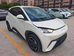 BYD Seagull Glory Edition 405km Flying Edition - ფოტო 4