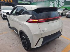 BYD Seagull Glory Edition 405km Flying Edition - ფოტო 5