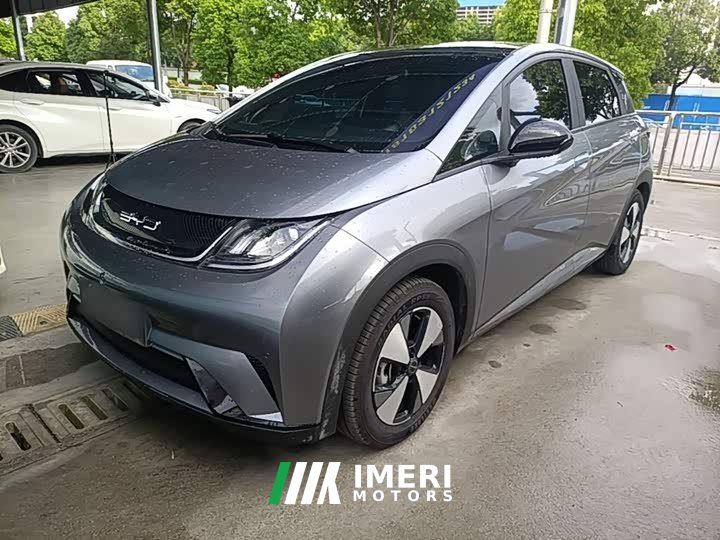 BYD Dolphin 2023 420km Fashion Edition - ავტომობილი ჩინეთიდან