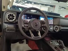 Tank 300 2021 Off-Road Edition 2.0T Conqueror - ფოტო 11