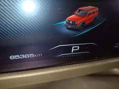 Tank 300 2021 Off-Road Edition 2.0T Conqueror - ფოტო 12