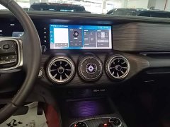 Tank 300 2021 Off-Road Edition 2.0T Conqueror - ფოტო 13