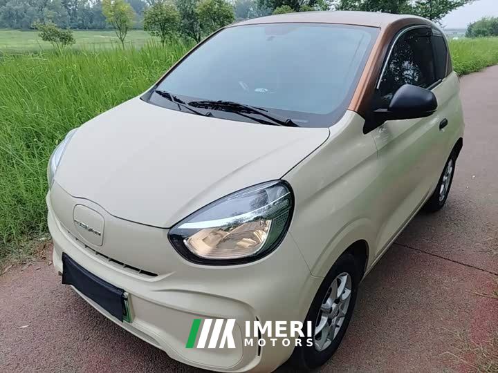 SAIC Clever 311km Vitality Pop Edition