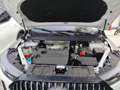 Chery Tiggo 7 PLUS Facelift 1.6T GDI DCT Luxury - ფოტო 20