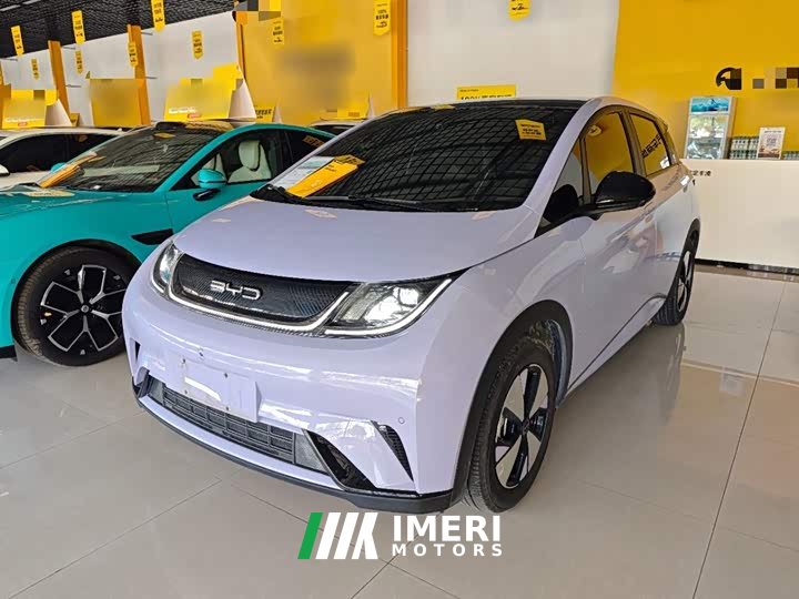 BYD Dolphin 420km Fashion Edition - ავტომობილი ჩინეთიდან