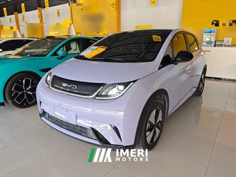 2023 BYD Dolphin 420km Fashion Edition - ავტომობილი ჩინეთიდან