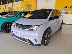 BYD Dolphin 420km Fashion Edition - ფოტო 2