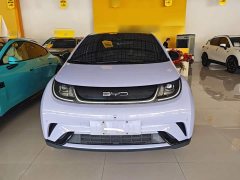 BYD Dolphin 420km Fashion Edition - ფოტო 3